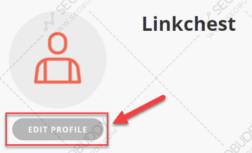 Click on "Edit Profile"